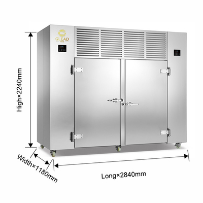 Professional Cold Storage Refrigeration Unit with 15 Trays for Precise Temperature Control Blast Chiller&Freezer Cabinet