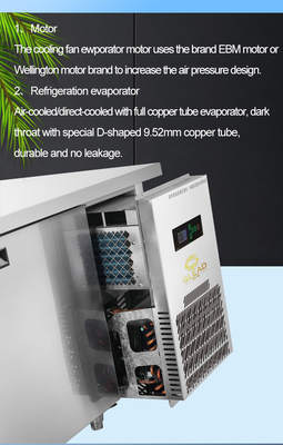 Air Cooled Refrigeration Unit for Precise Temperature Control - Ss304 Double Glass Door Refrigerator