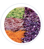 Electric Stainless Steel Vegetable Slicing Machine with Production Capacity and Digital Display Vegetable Sliver
