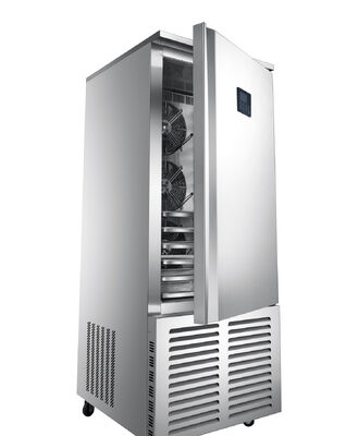 OEM ODM Movable Upright Commercial Display Refrigerator, Frost‑Free Beverage Chiller with Wheels & Top LED Light‑Box, R290, Optional Heating‑Glass