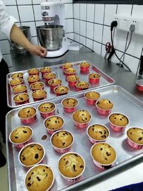 Electric Commercial Baking Oven Gas Pizza Oven Commercial Baking Equipment