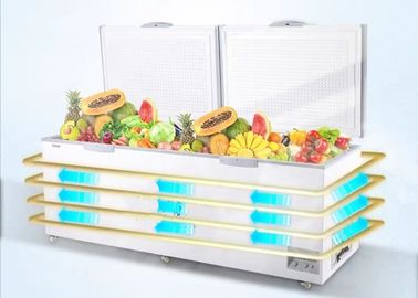 Big Capacity Deep Chest Freezer Double Door Deep Freezer Quick Freezer Chest 850 Liter
